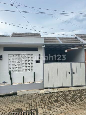 Rumah Dau Malang Siap Huni Dingin Banget