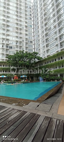 Apt Bintaro Tower Altiz Type Studio 