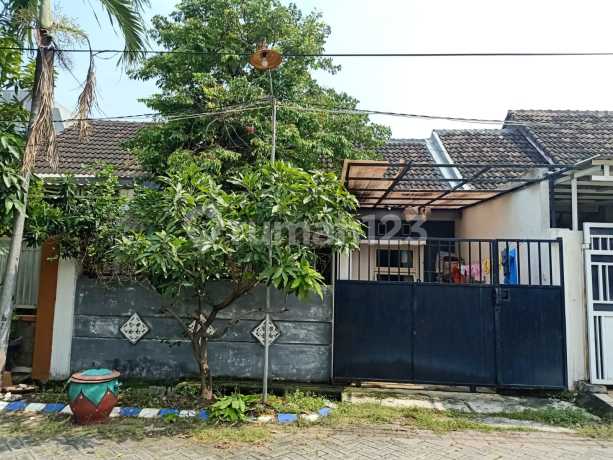 Western village house Benowo Sememi Surabaya minimalist simple.