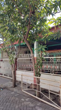 Rumah Perumahan Sekardangan Indah Sidoarjo 