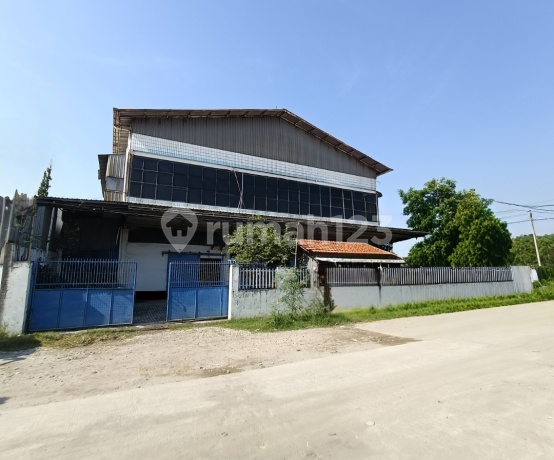 Gudang Dan Kantor 3 Lantai Aktif Siap Pakai Dijual Kawasan Pergudangan Strategis Pluit Penjaringan Jakarta Utara Gudang di Karang Permai, Jl. Pluit Karang Selatan, Pluit, Penjaringan, Kota Jakarta Utara, DKI Jakarta, Indonesia, 14450, Pluit 1000.0 m² Unfu Gudang Dan Kantor 3 Lantai Aktif Siap Pakai Dijual Kawasan Pergudangan Strategis Pluit Penjaringan Jakarta Utara Gudang di Karang Permai, Jl. Pluit Karang Selatan, Pluit, Penjaringan, Kota Jakarta Utara, DKI Jakarta, Indonesia, 14450, Pluit 1000.0 m² Unfu