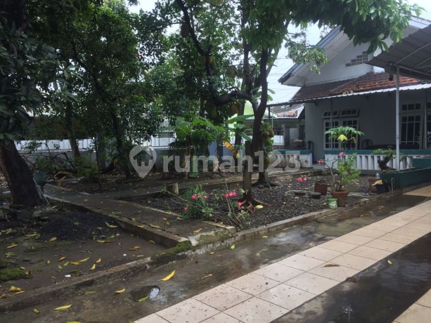 Rumah 6 Kamar Tengah Kota di Pucang Indah Sidoarjo
