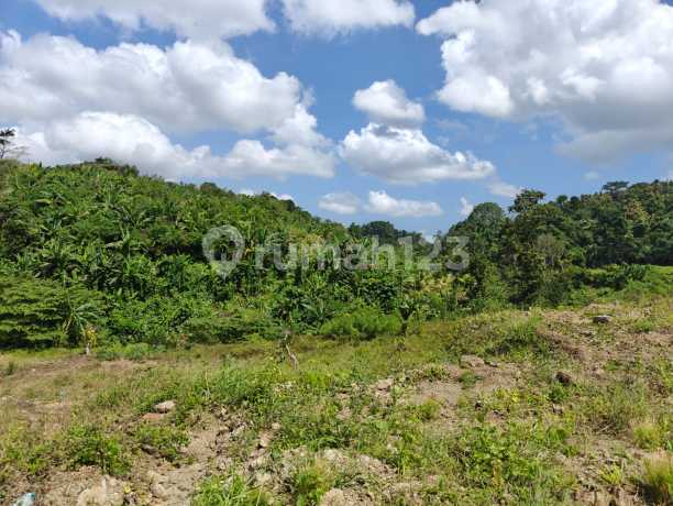 Kavling Stategis Tabanan Batu Aji Bali Luas 144 Kavling Stategis Tabanan Batu Aji Bali Luas 144