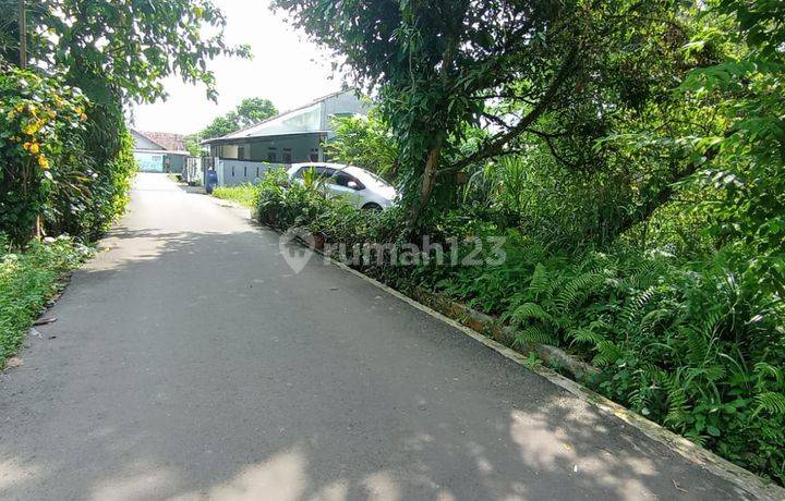 Tanah Bogor Nyaman Untuk Hunian Di Perumahan Laladon Indah