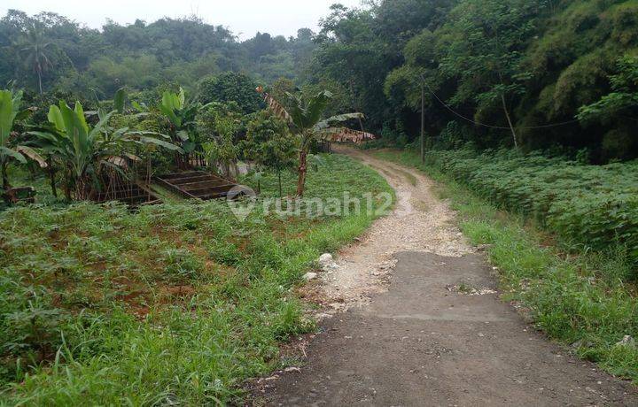 Tanah Murah Di Perumahan Ciampea Asri SHM Per Kavling. Promo Imlek