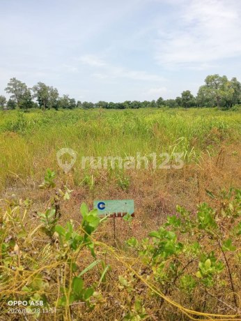 For Sale Land Grand Estate Marina City Manyar Gresik For Sale Land Grand Estate Marina City Manyar Gresik