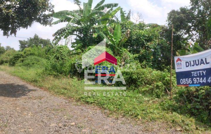 Tanah Dijual Di Kedamaian Indah Bandar Lampung