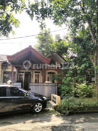 Rumah Murah dan Asri Didalam Kompleks Limus Pratama Regency Bebas Banjir! Rumah Murah dan Asri Didalam Kompleks Limus Pratama Regency Bebas Banjir!