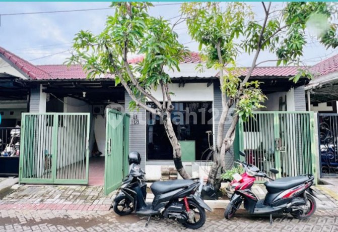 Rumah di Wiguna Timur Regency Surabaya Bagus Dan Terawat Rumah di Wiguna Timur Regency Surabaya Bagus Dan Terawat