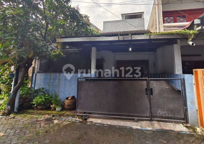 Rumah di Kebraon Indah Permai Surabaya Murah Terawat Strategis Rumah di Kebraon Indah Permai Surabaya Murah Terawat Strategis