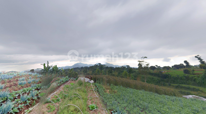 Lelang Tanah Kosong di Cianjur, Luas Tanah: 3.932 M²