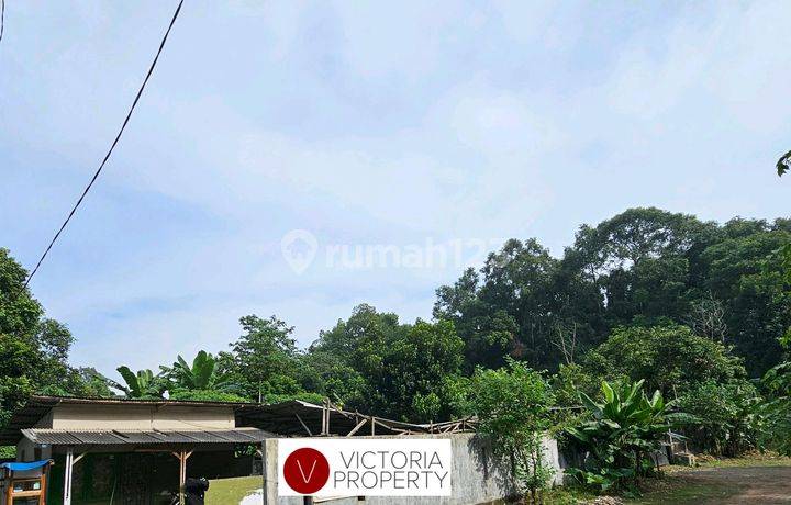 Jual Tanah Strategis Di Kavling Ddn Cibubur