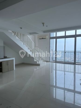 For Rent Neo Soho Residence Apartments Type Melrose