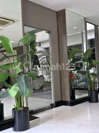 Jual Rugi Harga Super Murah Apartemen 3 Bed Room Kosong Tanpa Furnish Jual Rugi Harga Super Murah Apartemen 3 Bed Room Kosong Tanpa Furnish