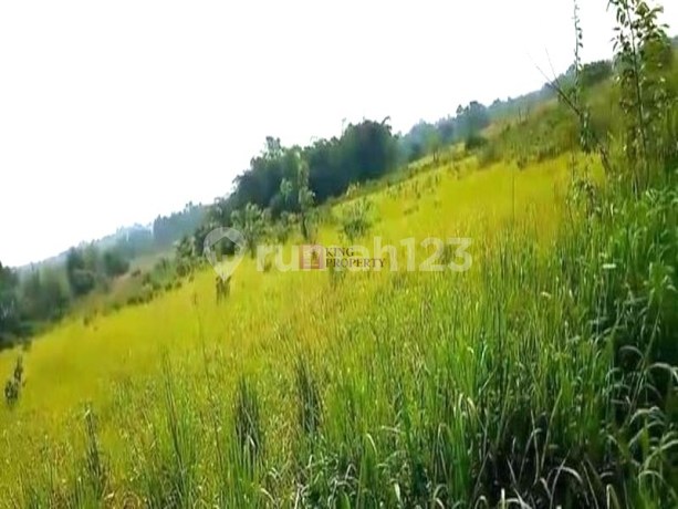 Dijual Tanah Kavling SHM di Kebun Jati Tigaraksa - Lokasi Strategis & Potensi Investasi Tinggi, Dekat Pasar Kaget, Pasar Taman Adiyasa, Indomaret Cileles Cikasungka, Mal Ciputra Tangerang, Klinik Soerayah Isoka Medika, RSIA Harapan Mulia, RSUD Tigaraksa