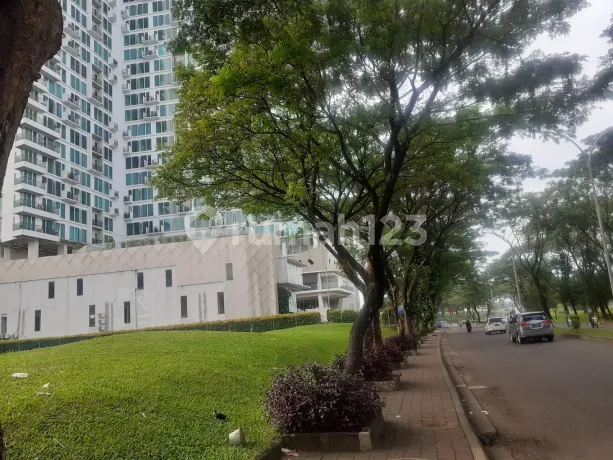 Jual Murah Apartemen Studio Treepark BSD City Tangerang Selatan Jual Murah Apartemen Studio Treepark BSD City Tangerang Selatan
