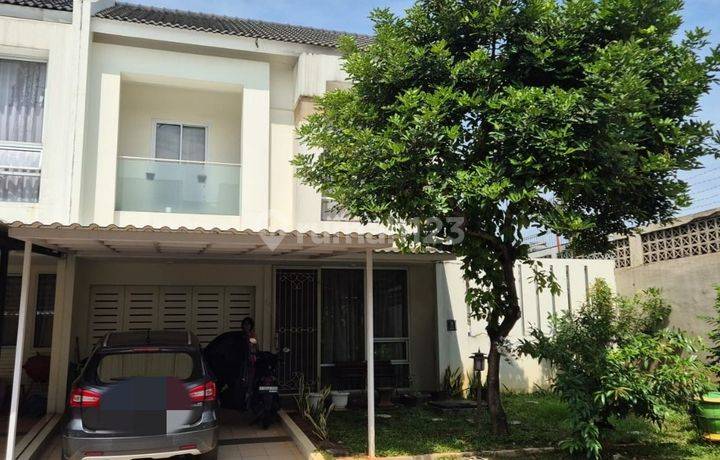 Termurah Rumah Cluster Oleaster Gading Serpong