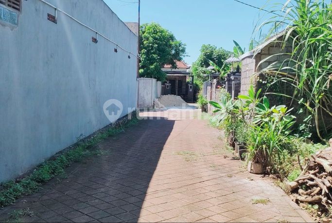 Disewakan Tanahlokasi Strategis Mecutan Poltek Dan Dekat Udayana Disewakan Tanahlokasi Strategis Mecutan Poltek Dan Dekat Udayana
