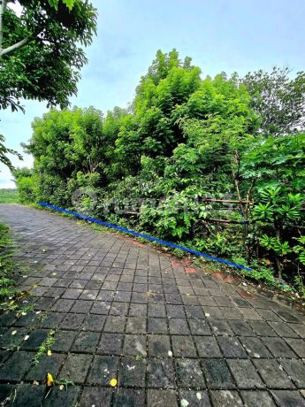 Dijual Tanah Ocean Viewlokasi Ungasan , Kuta Selatan Dijual Tanah Ocean Viewlokasi Ungasan , Kuta Selatan