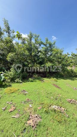 Dijual Tanah Luas Strategis Di Puri Gading, Jimbaran Dijual Tanah Luas Strategis Di Puri Gading, Jimbaran