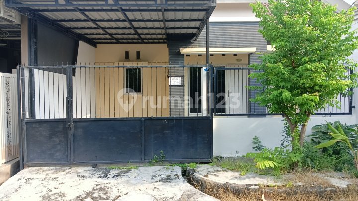Rumah Murah di Pondok Jati Dekat Toll Rumah Murah di Pondok Jati Dekat Toll