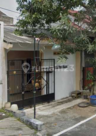 Rumah Siap Huni Dijual Cepat di Plamongan Indah Rumah Siap Huni Dijual Cepat di Plamongan Indah