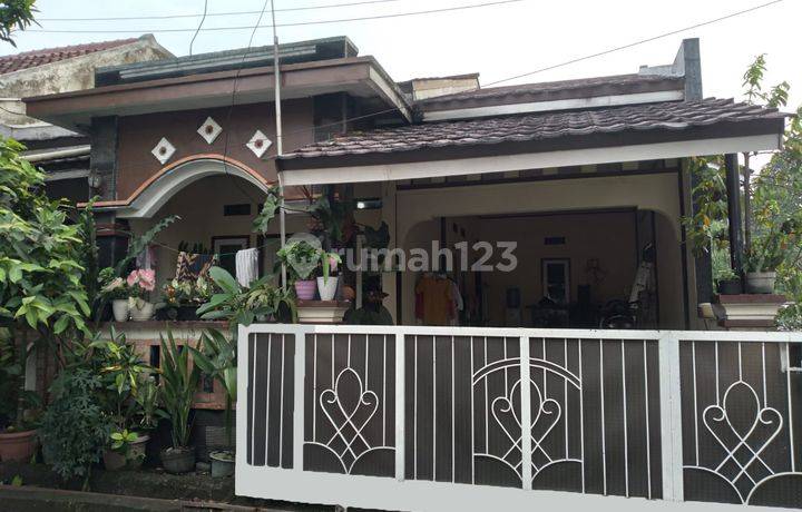 Dijual Cepat Rumah 1 Lantai Diperumahan Nuansa Indah Ciomas Bogor