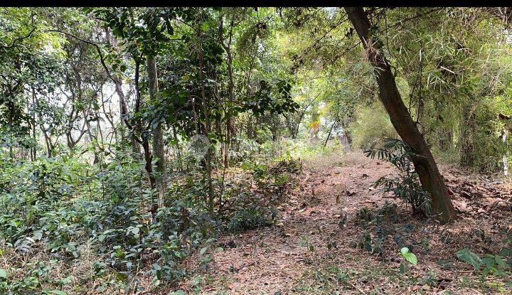 Dijual Tanah di Perumahan Bappenas Cinangka , Depok