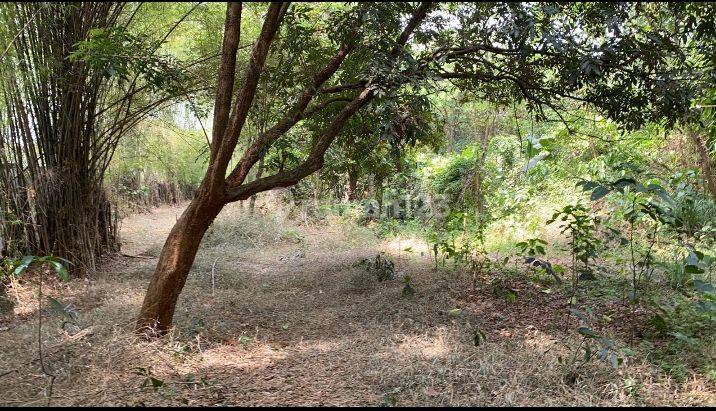 Dijual Tanah Kavling   Perumahan Bappenas Cinangka Depok.