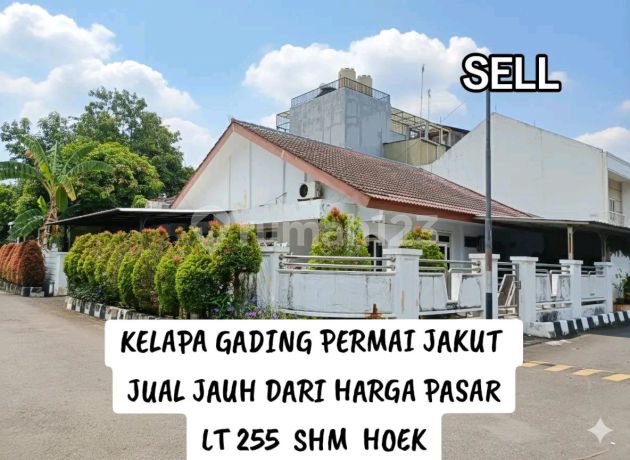 Jual Cepat Jauh Bawah Harga Pasaran Rumah Hoek Kelapa Gading Permai Kelapa Cengkir