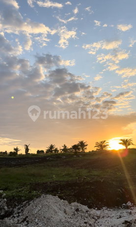 Tanah Dekat Canggu Kedungu Full View Surga Tanah Dekat Canggu Kedungu Full View Surga