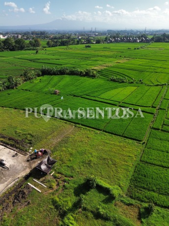 Tanah Pantai Kedungu 442m2 Suround By The View Heaven