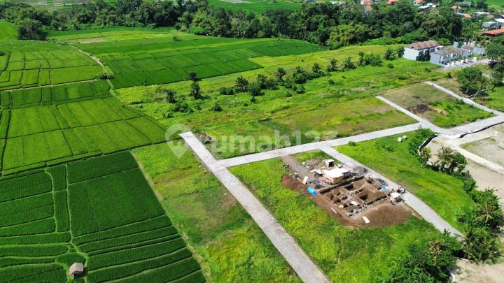 Tanah Canggu Pererenan Nuanu Kedungu Tanah Canggu Pererenan Nuanu Kedungu