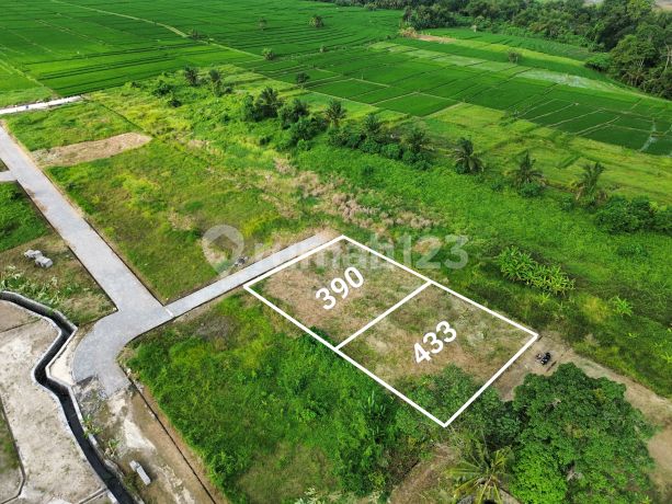 Kedungu dekat CANGGU 390m2 433m2 Suround By The View Kedungu dekat CANGGU 390m2 433m2 Suround By The View