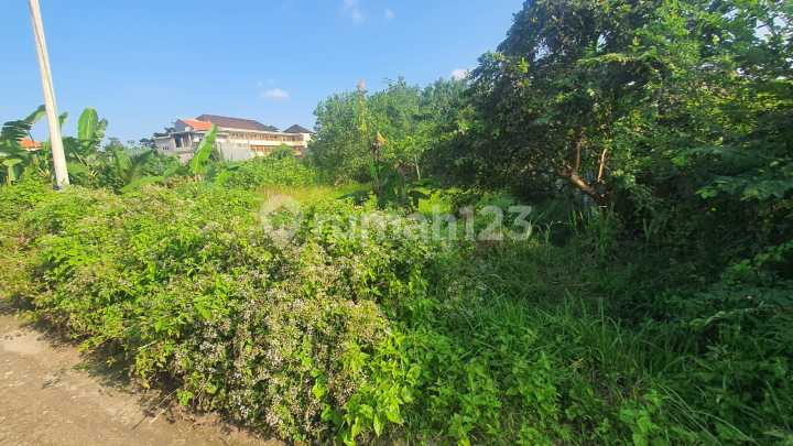  Tanah Murah 7 Are di Teduh Residence, di Area Strategis Jl. Dr. Ir. Soekarno, Tabanan