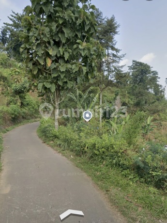 Lahan Perkebunan di Wonosalam Jombang Lahan Perkebunan di Wonosalam Jombang