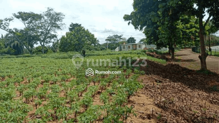 Tanah Kavling Di Perumahan Telaga Kahuripan Lembah Padi Selatan