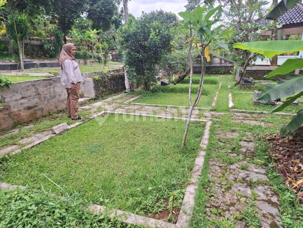 Family-Friendly Quiet Plot