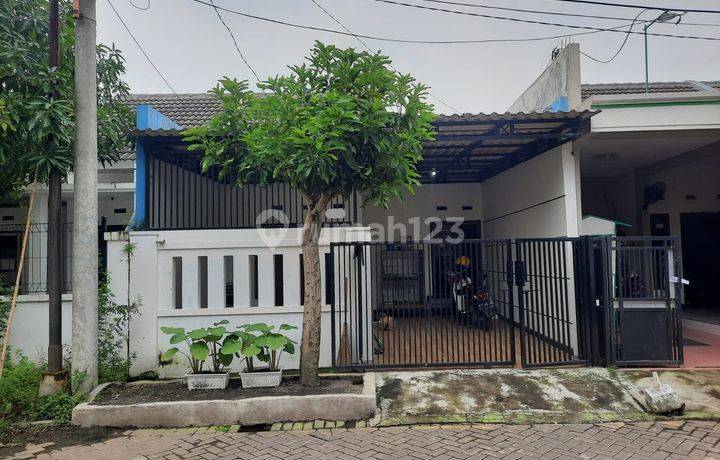 Rumah Perum Surya Residence Buduran Sidoarjo