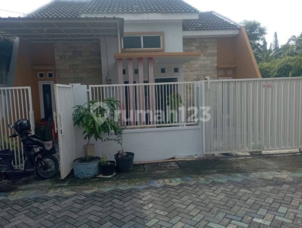 Rumah 1 Lantai Lokasi Strategis Di Bluru Dekat Pusat Kota Sidoarjo Rumah 1 Lantai Lokasi Strategis Di Bluru Dekat Pusat Kota Sidoarjo