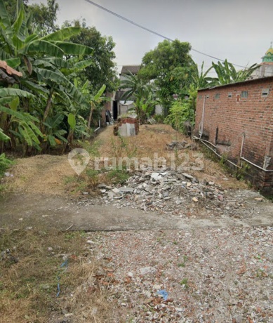 Tanah Pekarangan Cocok Buat Kos Tanah Pekarangan Cocok Buat Kos