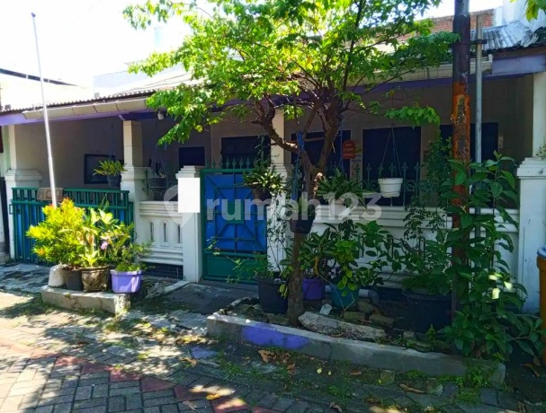 Pandugo Praja Murah Rungkut Surabaya Merr