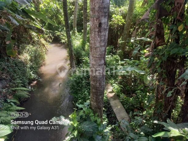 Tanah Lokasi Bagus dan Nyaman dalam Komplek Villa di Saba Gianyar