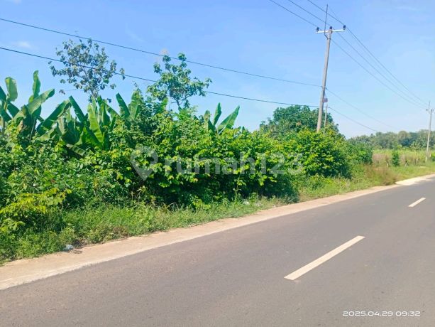 Jual Cepat Dan Murah Tanah Di Majalengka Jawa Barat