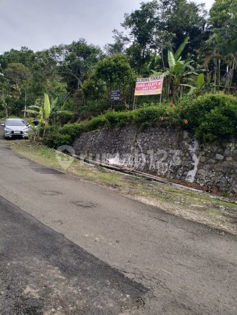 Jual Cepat Dan Murah Lahan Cantik Di Desa Sukawangi Kec.sukamakmur Bogorur Jual Cepat Dan Murah Lahan Cantik Di Desa Sukawangi Kec.sukamakmur Bogorur