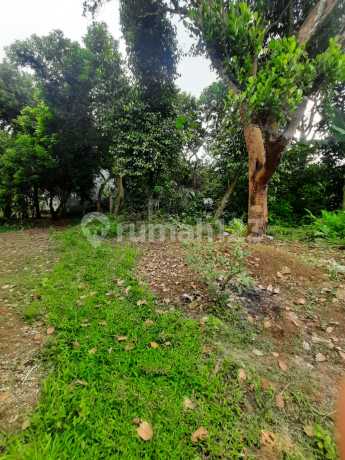 Kavling Murah Dekat Villa Pamulang Mas Bebas Banjir Siap Bangun Kavling Murah Dekat Villa Pamulang Mas Bebas Banjir Siap Bangun