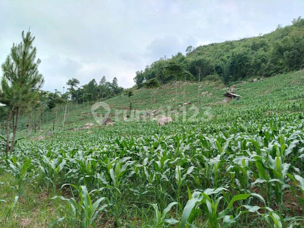 City View Land Near Kotabaru Arjasari Bandung