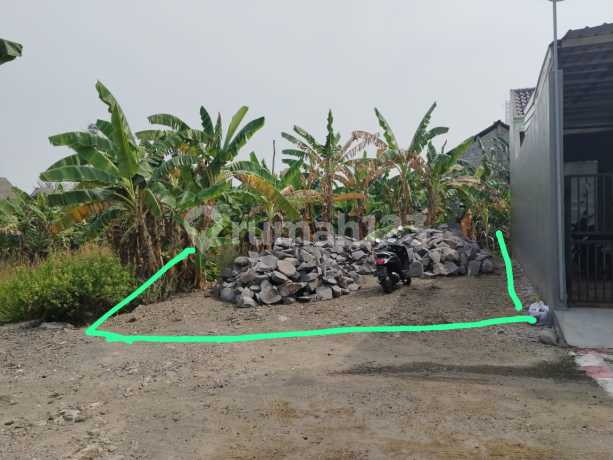 Dijual Tanah Shm Siap Bangun Tlogomulyo Dekat Smpn 34 Semarang Dijual Tanah Shm Siap Bangun Tlogomulyo Dekat Smpn 34 Semarang
