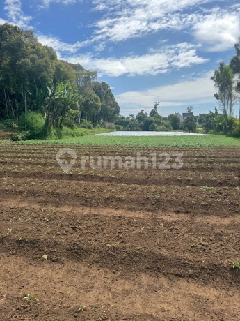 Tanah Luas untuk Perkebunan Perumahan di Maharini Ciwaruga