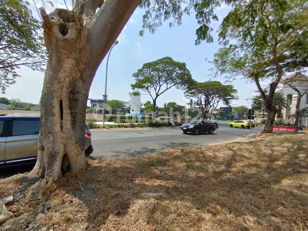 Tanah Jual Depan Merlion Vila Taman Telaga Citraland Tanah Jual Depan Merlion Vila Taman Telaga Citraland